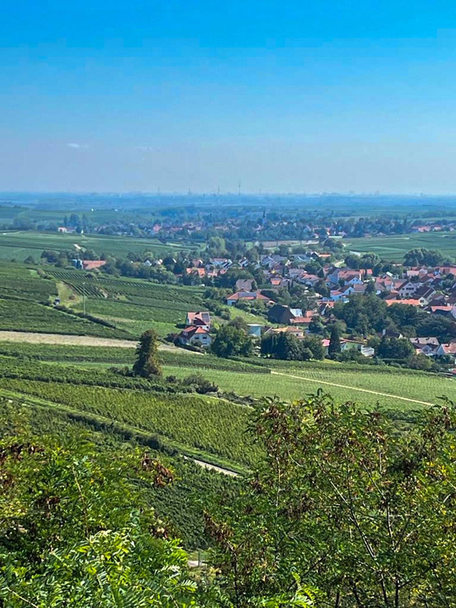 Hotel Zum Burggraf Neuleiningen Exteriör bild